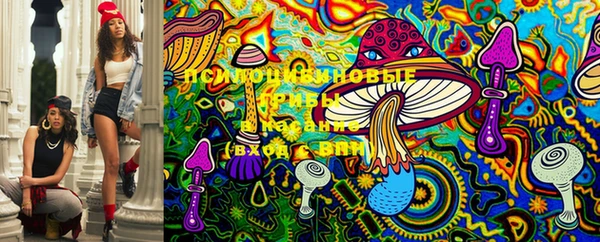 ПСИЛОЦИБИНОВЫЕ ГРИБЫ Вязники