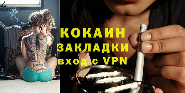 ПСИЛОЦИБИНОВЫЕ ГРИБЫ Болотное