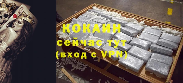 ПСИЛОЦИБИНОВЫЕ ГРИБЫ Болотное