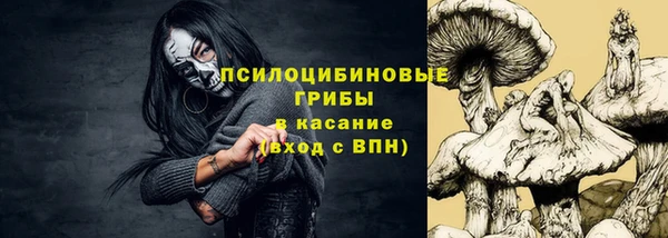 ПСИЛОЦИБИНОВЫЕ ГРИБЫ Болотное